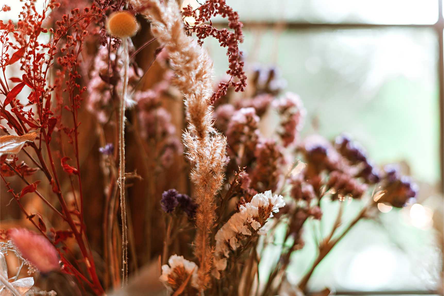 Şoklanmış Bitkiler ile Doğal Bir Dokunuş