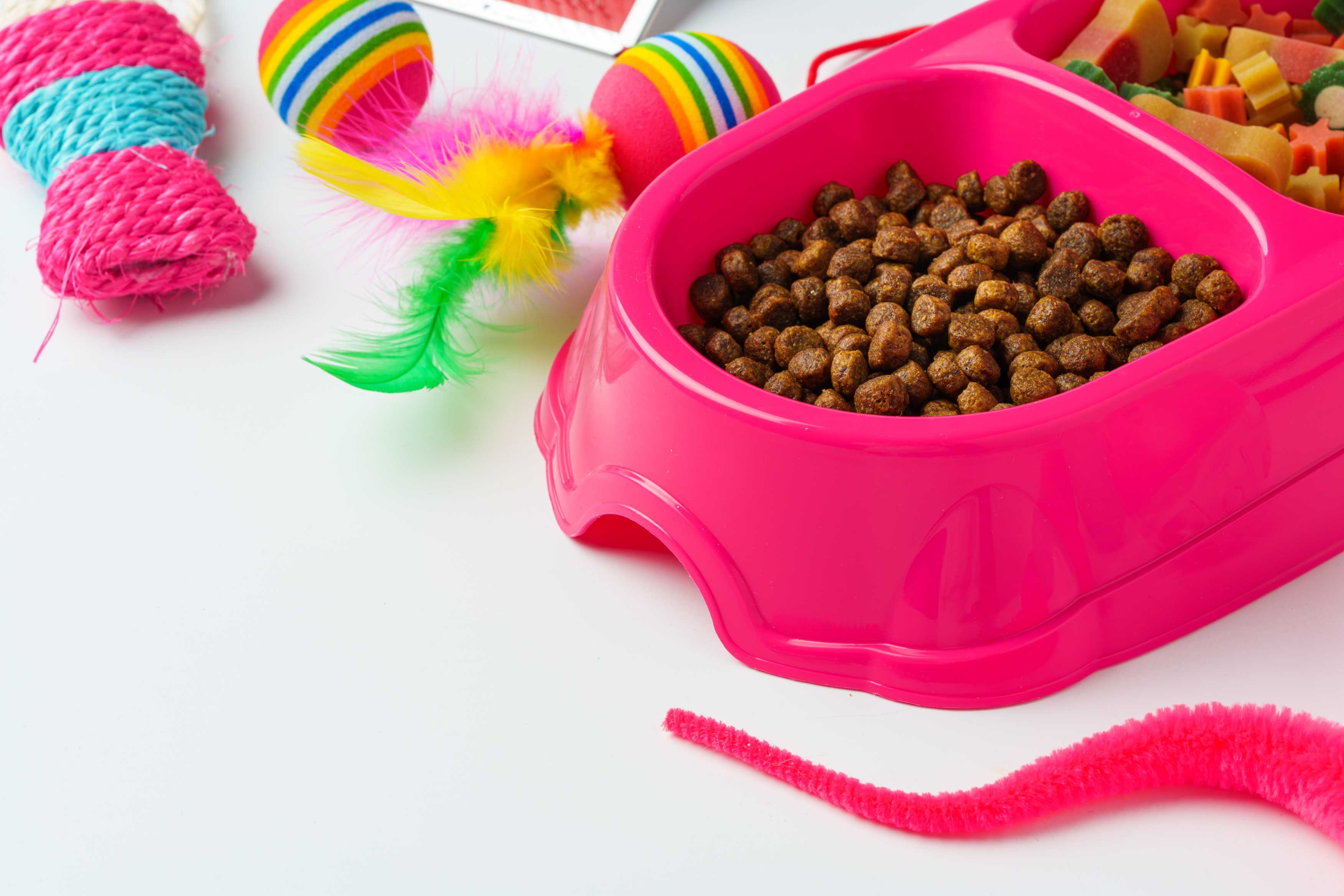 Evcil Hayvan Mama ve Su Kabı: Sağlıklı Beslenme İçin Önemli Detaylar