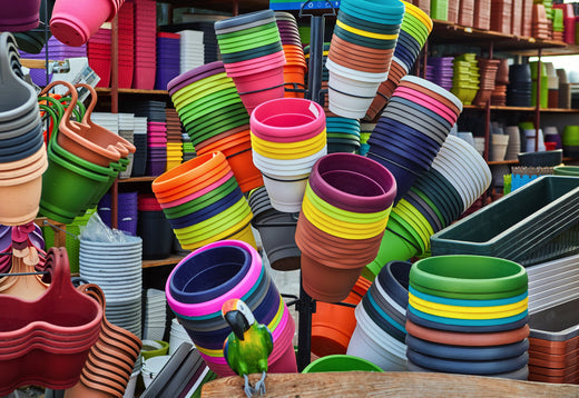 Renkli Plastik Saksılar ile Bahçenize Neşe Katın