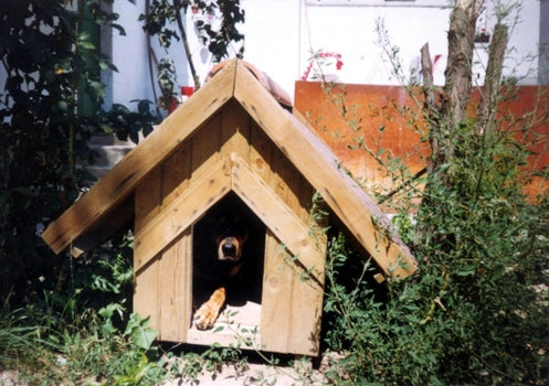 Köpek Kulübesi Seçiminde Nelere Dikkat Edilmeli?