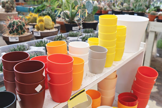 Plastik Saksılar ile Pratik ve Bütçe Dostu Dekorasyon Fikirleri