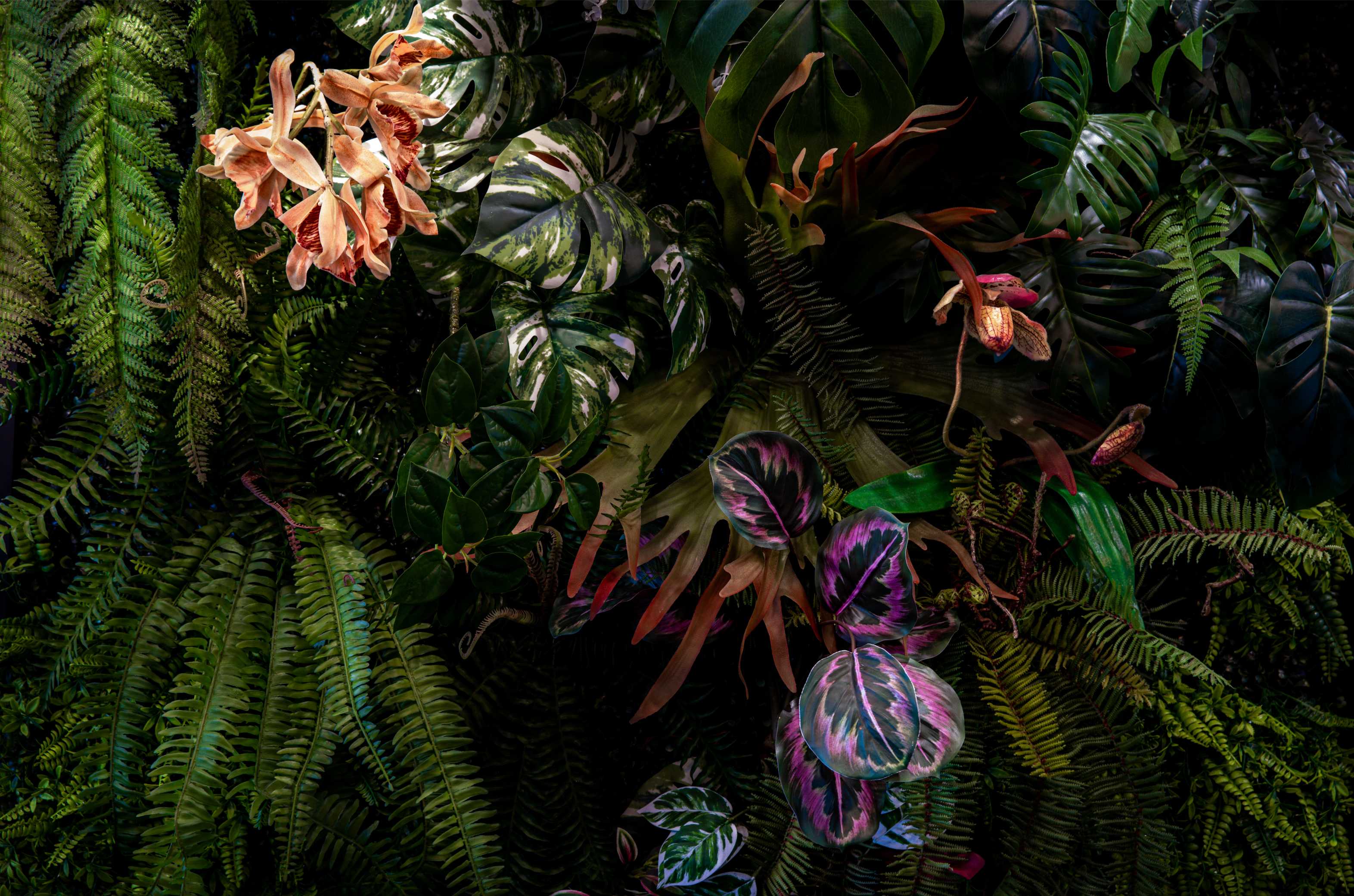 Tropik Bahçeler: Egzotik Bitkilerle Canlı Peyzaj