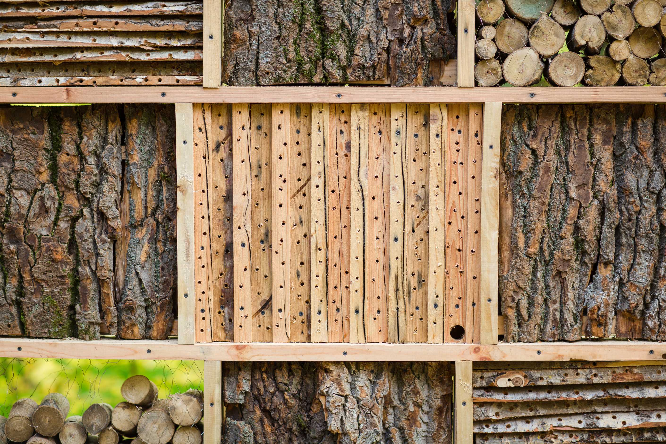Böcek Oteli: Bahçenizde Doğal Dengeyi Sağlayın