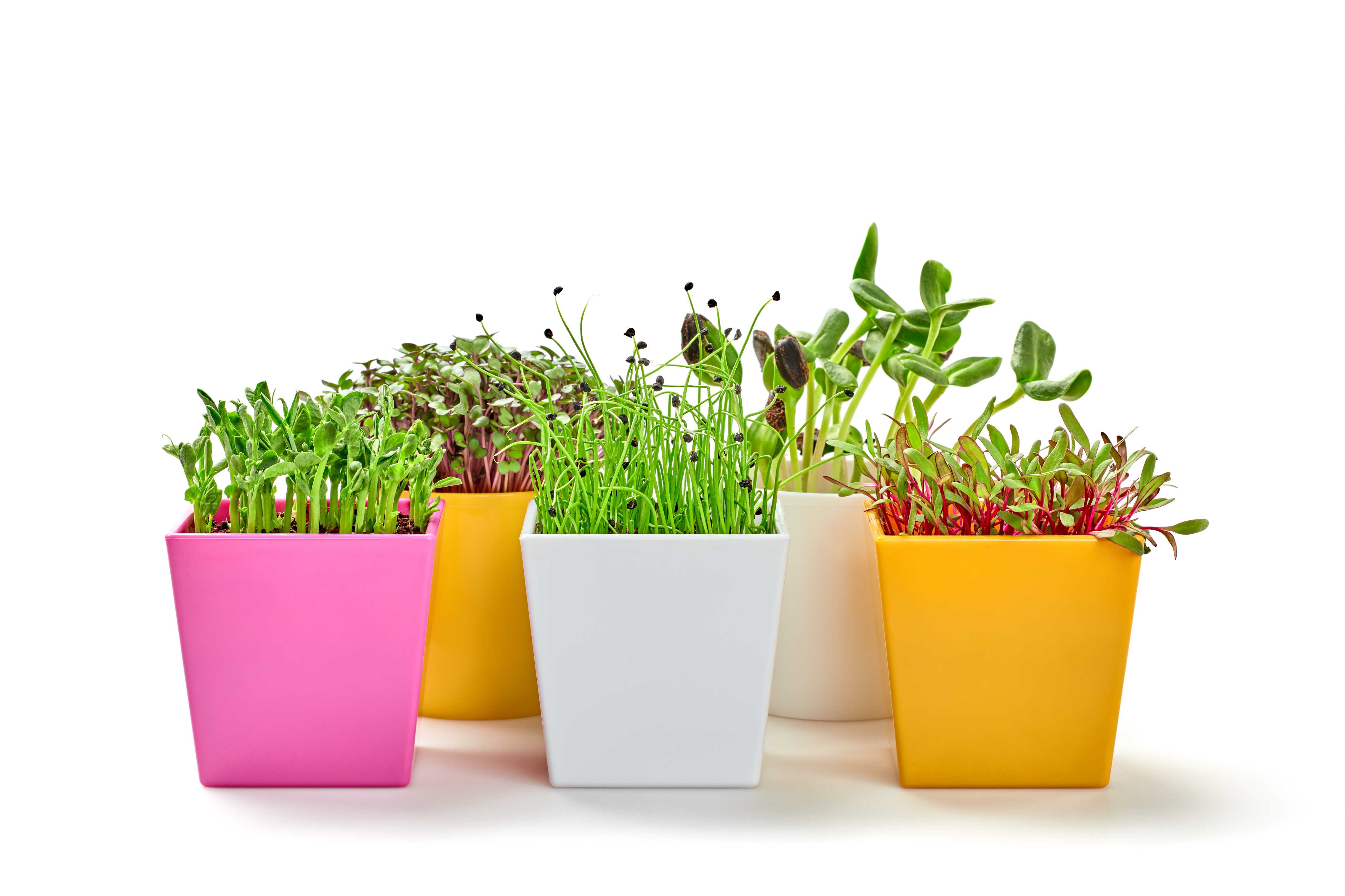 Saklama Kutuları ile Düzenli ve Şık Alanlar