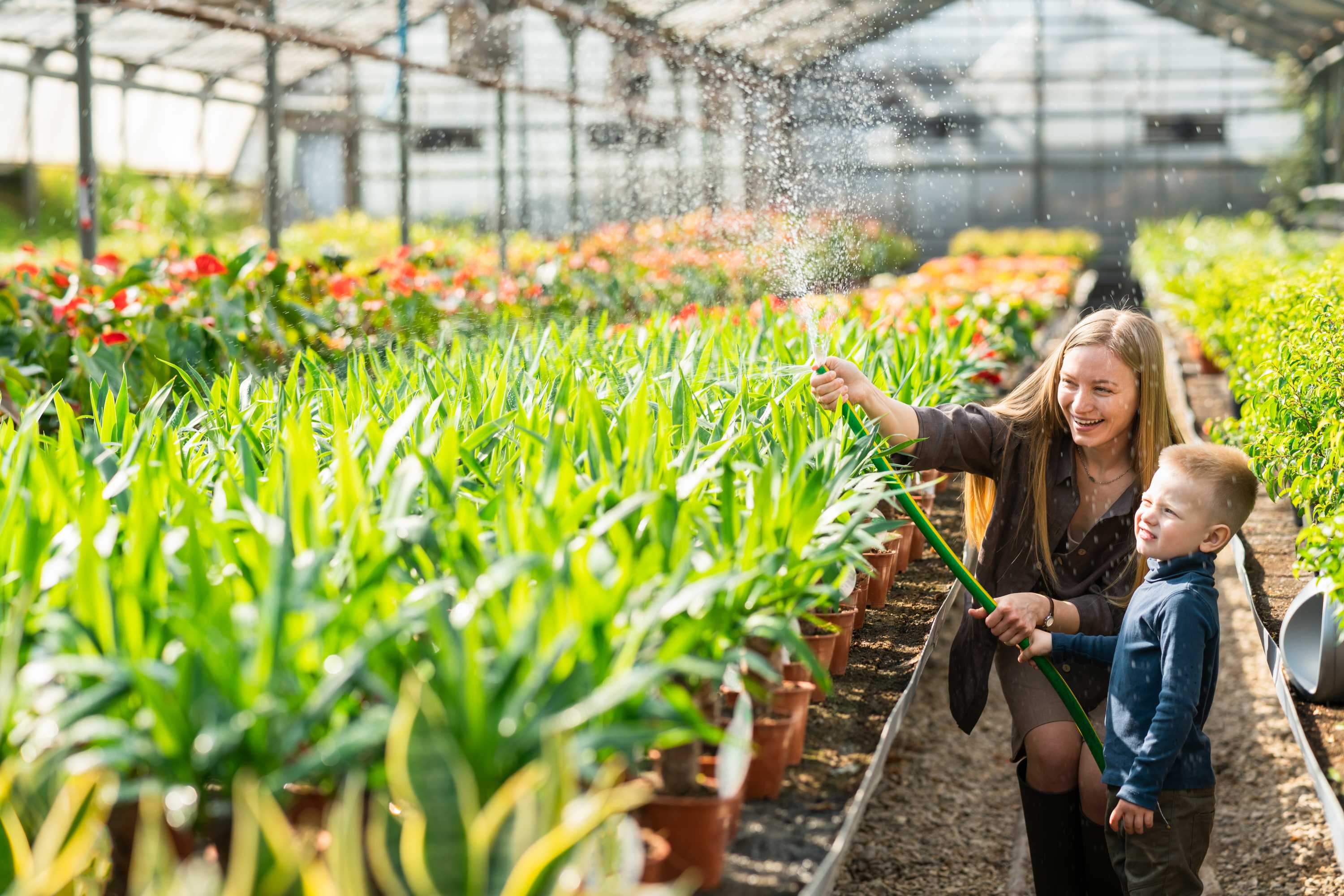 Bitkiler İçin Doğru Sulama Zamanı ve Yöntemleri