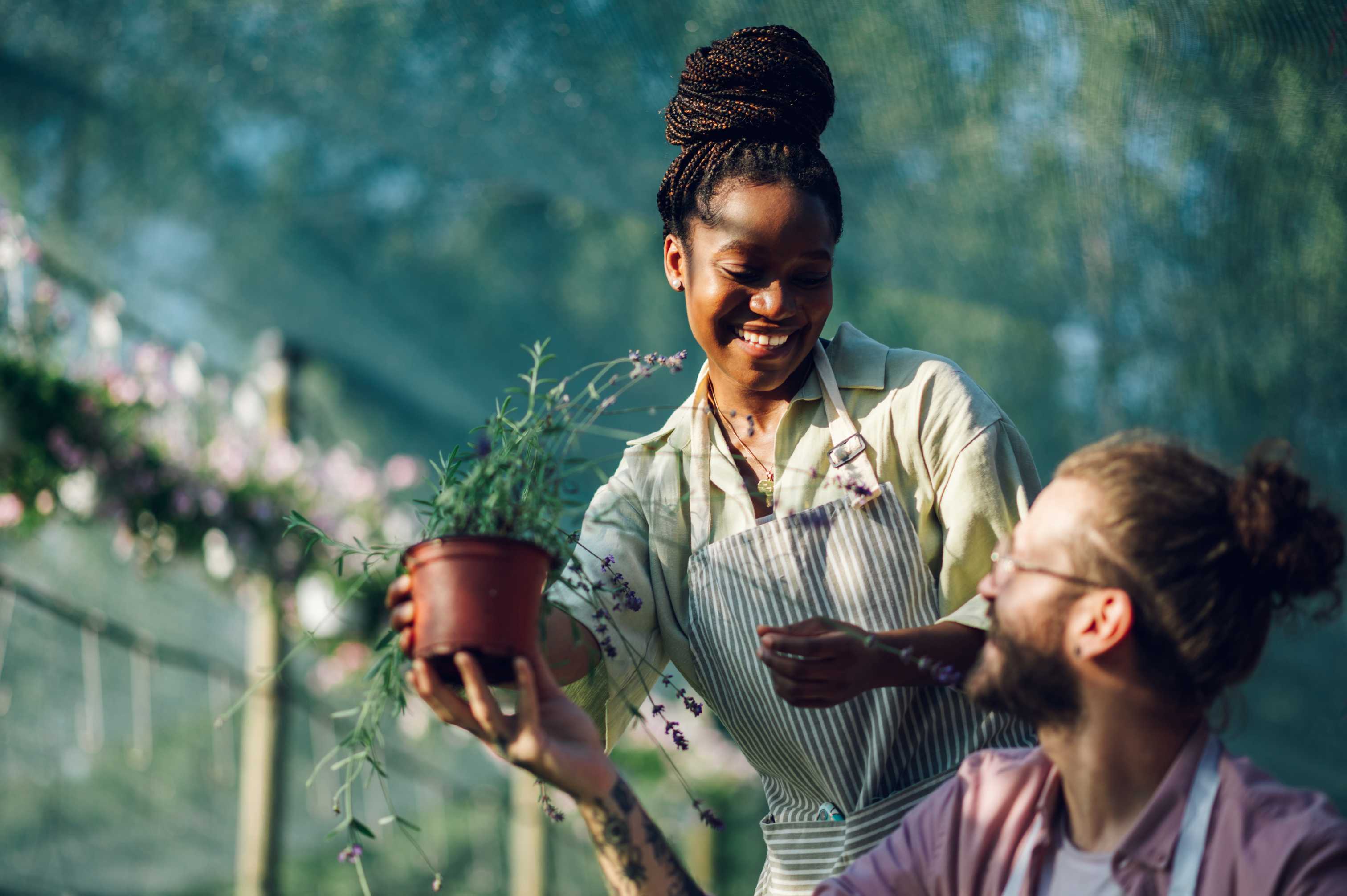Çiçek Veren Bitkilerle Renkli Peyzaj