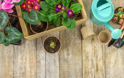 Doğru Ahşap Saksıyı Seçmek: Malzeme, Stil ve Dayanıklılık