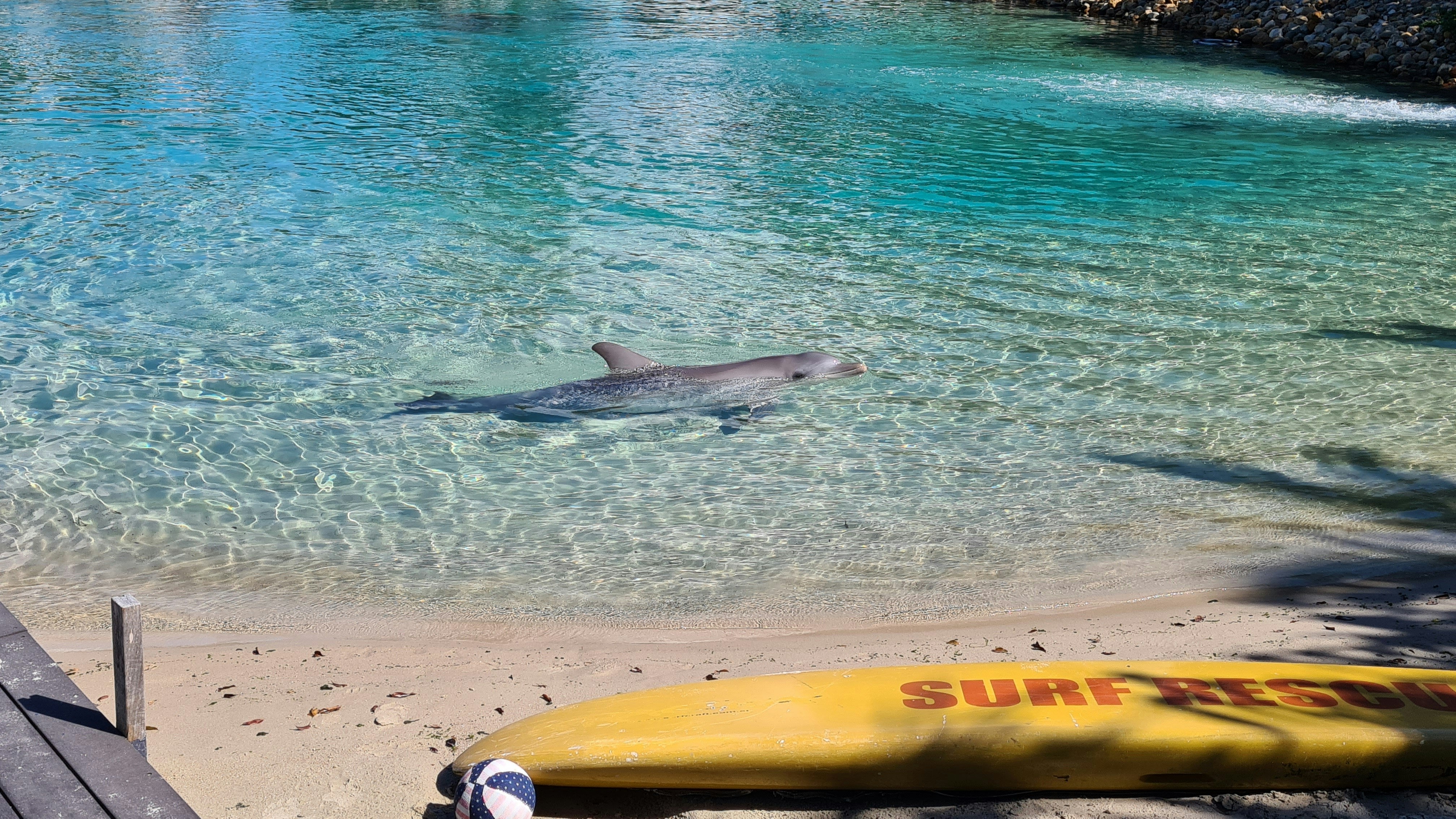 SUP Board ile Yapılabilecek Eğlenceli Aktiviteler