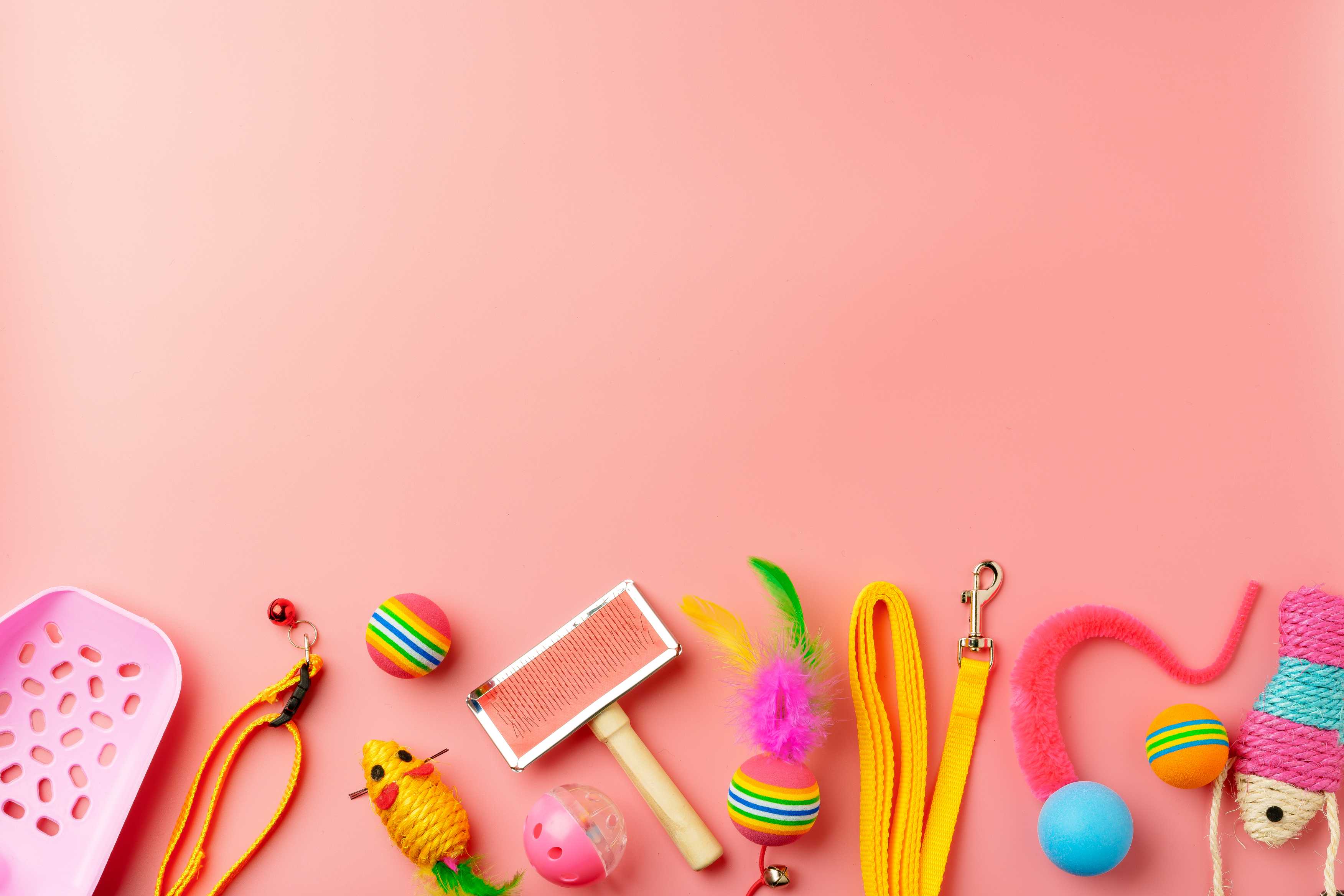 Köpek Oyuncakları: Eğlenceli ve Sağlıklı Aktiviteler