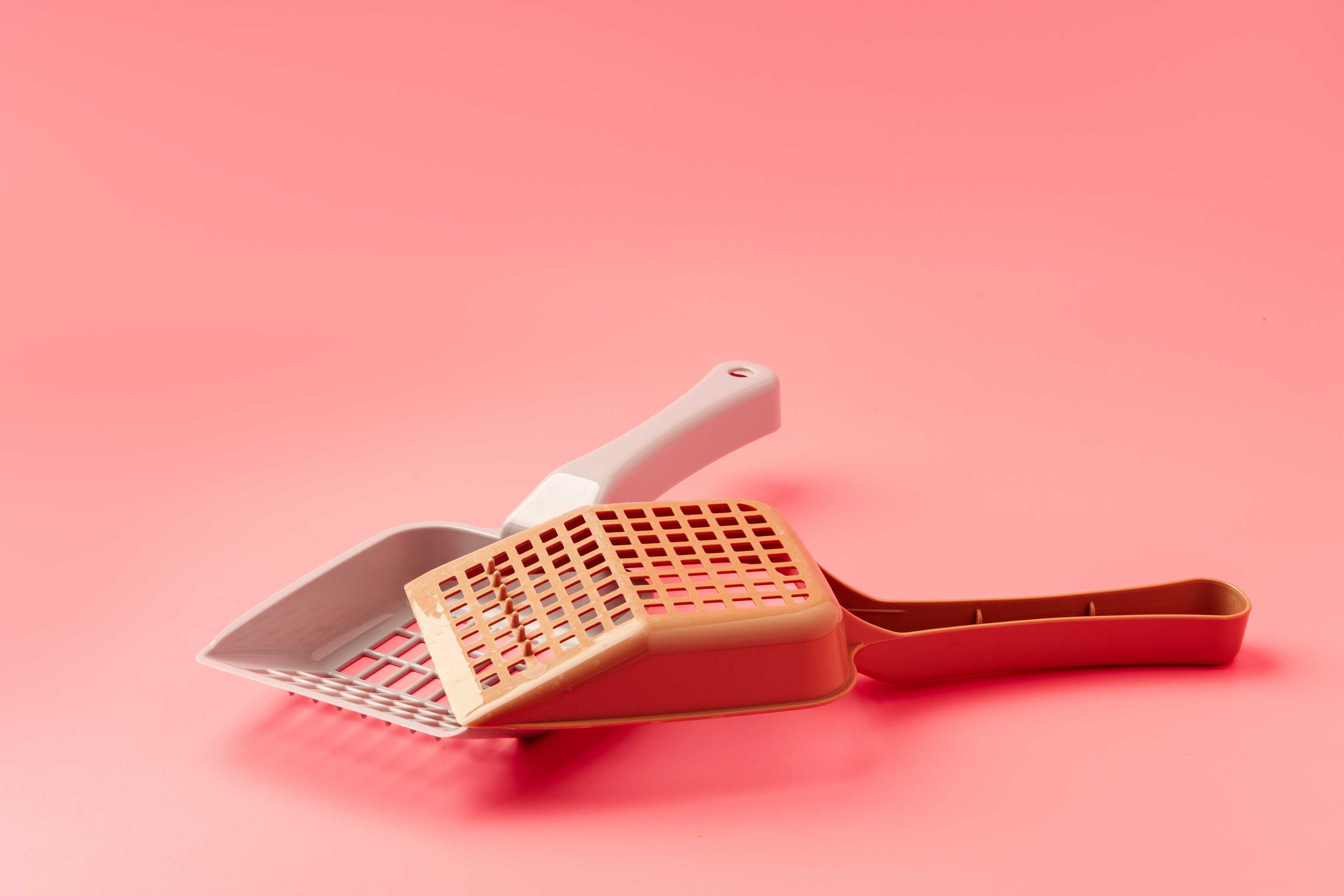 Temizlik Kürekleri: Evcil Hayvan Hijyeninde Pratik Çözümler