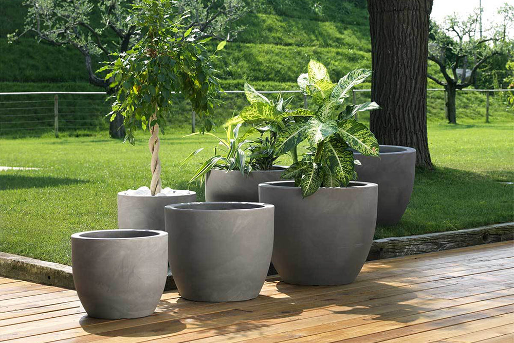 Saksılar Hakkında Bilinmesi Gerekenler