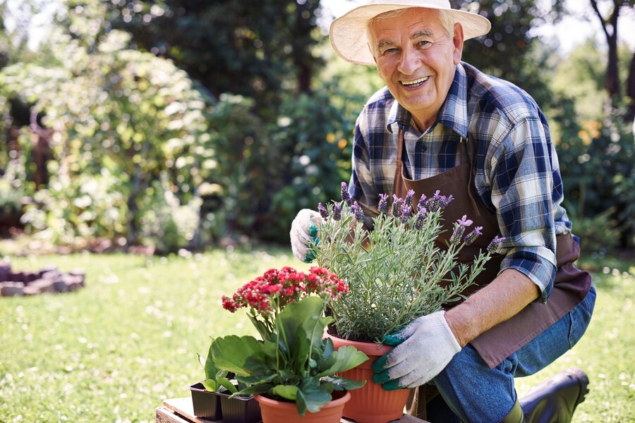 Longevity İçin Bahçenizde Bitki Dikmenin Önemi
