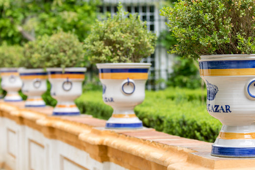 Akdeniz Stili Saksılar ile Evinizde Sıcaklık ve Şıklık Yaratın