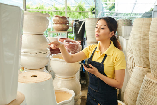 Seramik Saksı Seçimi: Estetik ve İşlevsellik Bir Arada