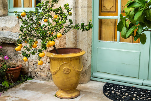 Akdeniz Saksılarıyla Doğallık ve Estetik Nasıl Buluşuyor?