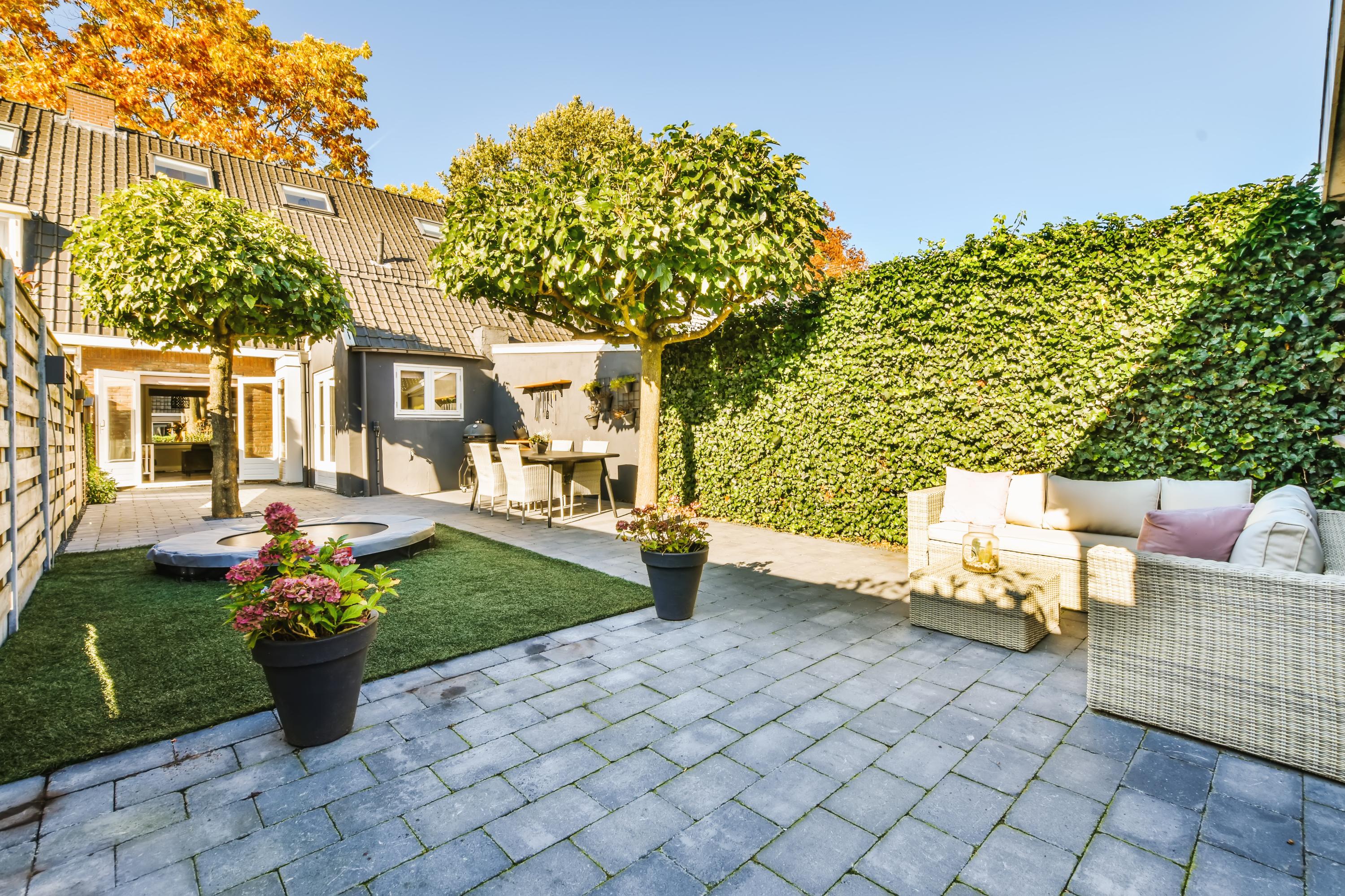 Bahçeniz İçin En Uygun Ağaç Türlerini Seçme Rehberi