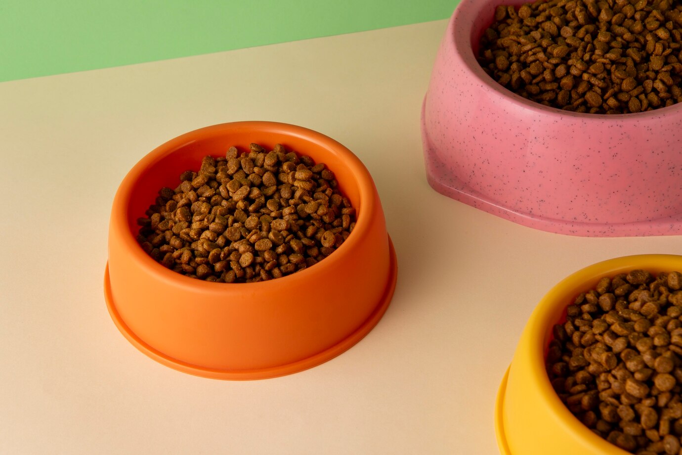 Köpekler İçin Şık ve Dayanıklı Mama ve Su Kapları