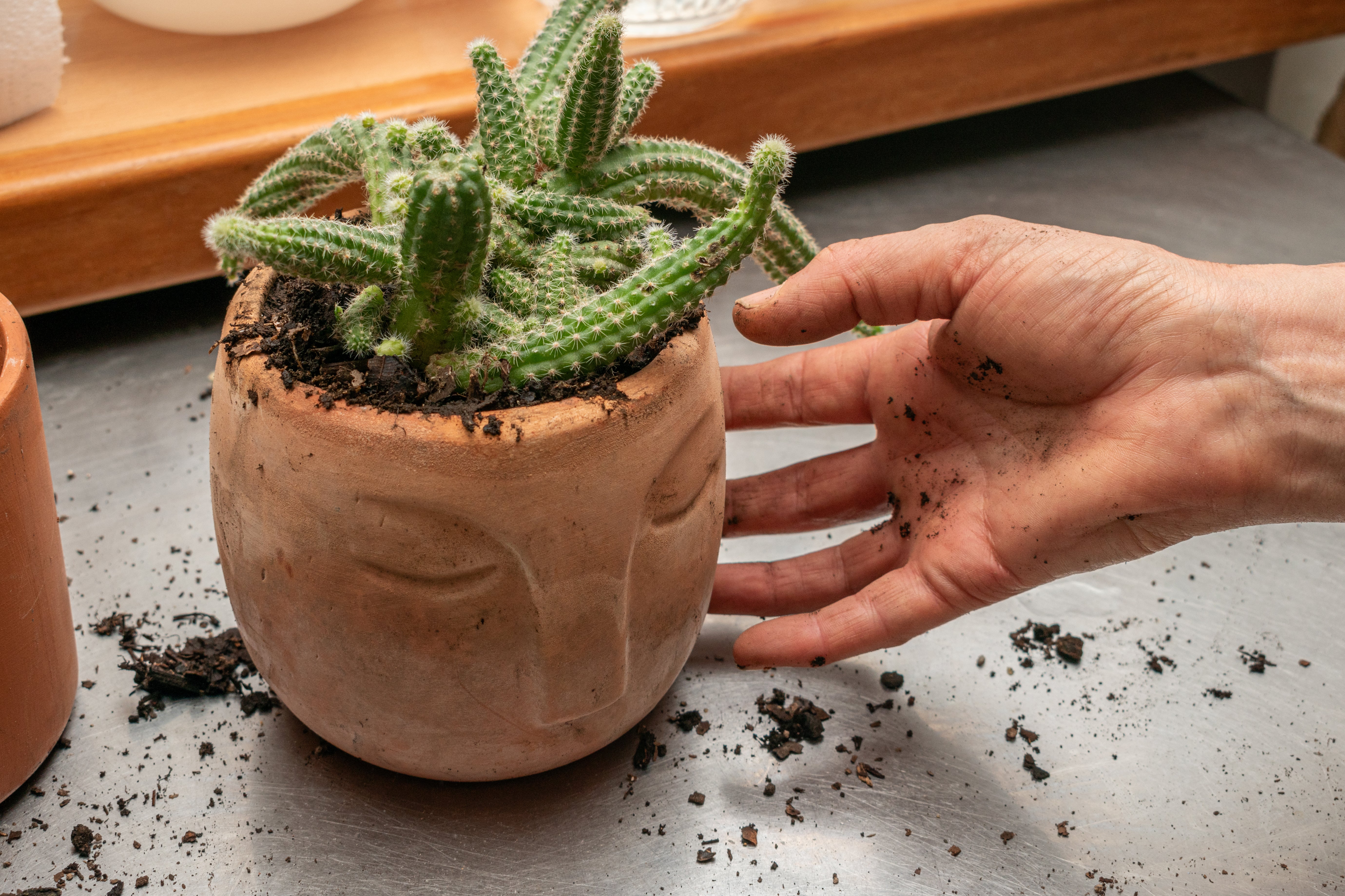 Bahçenizde Terracotta Saksı Kullanımı için Pratik Öneriler