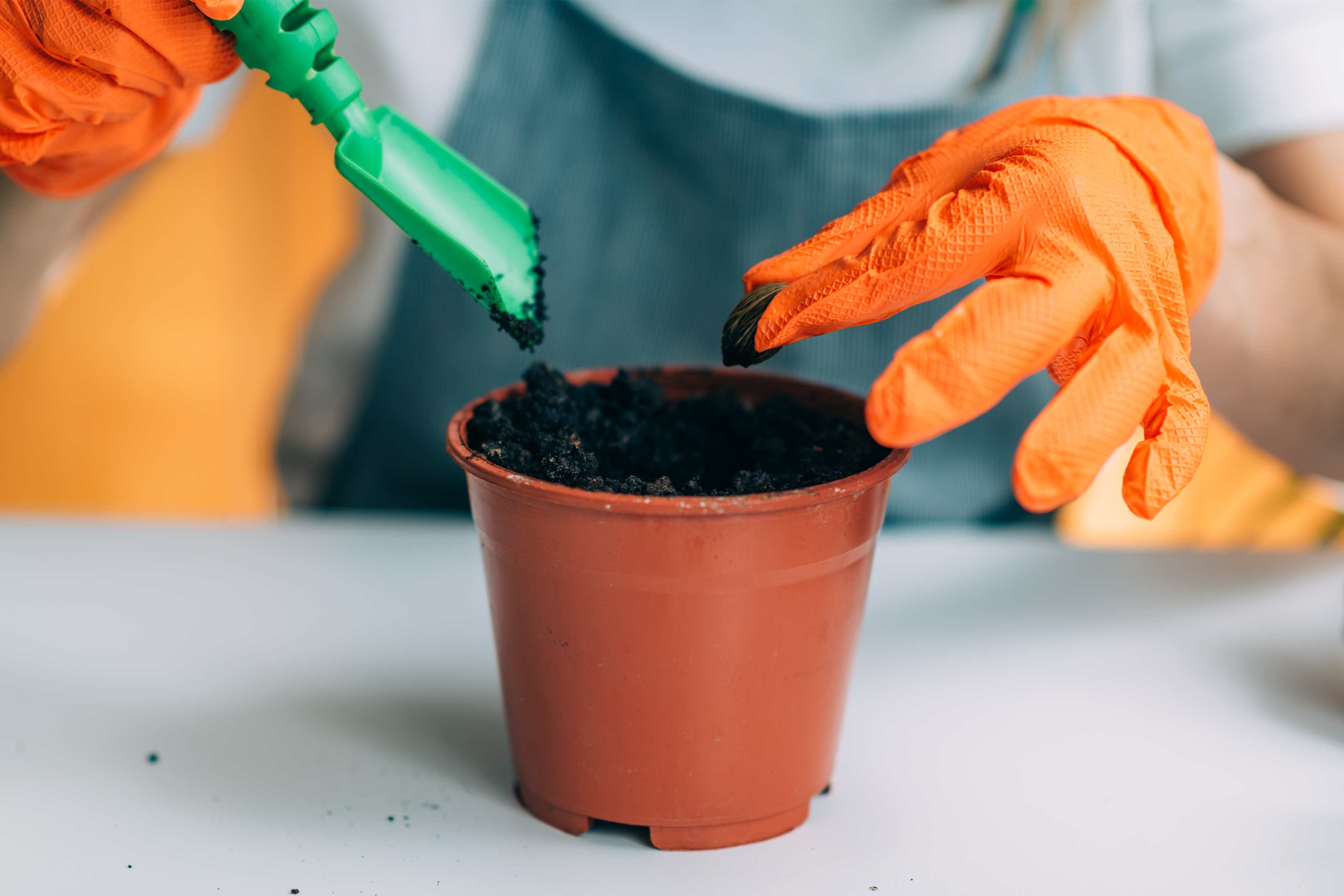 Bitki Gübresi Seçimi: Hangi Bitkiye Hangi Gübre Uygulanmalı?