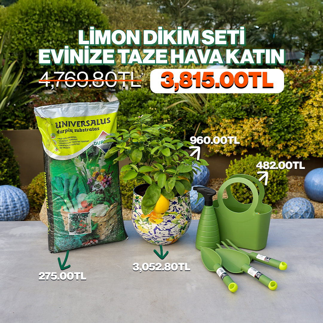 Limon Dikim Seti: Evinize Taze Hava Katın