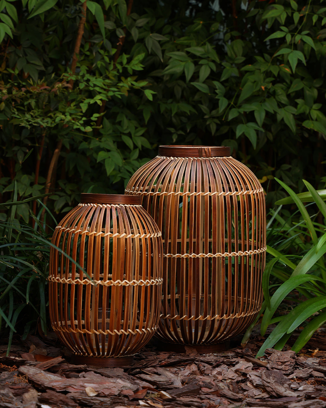 Aduro Bambu Mumluk Büyük Boy