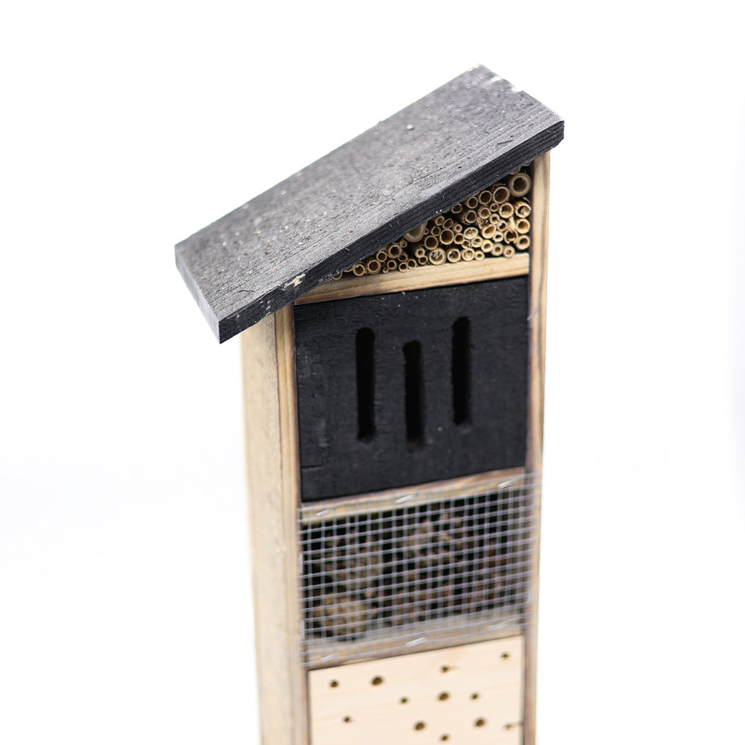 Monolith Böcek Oteli