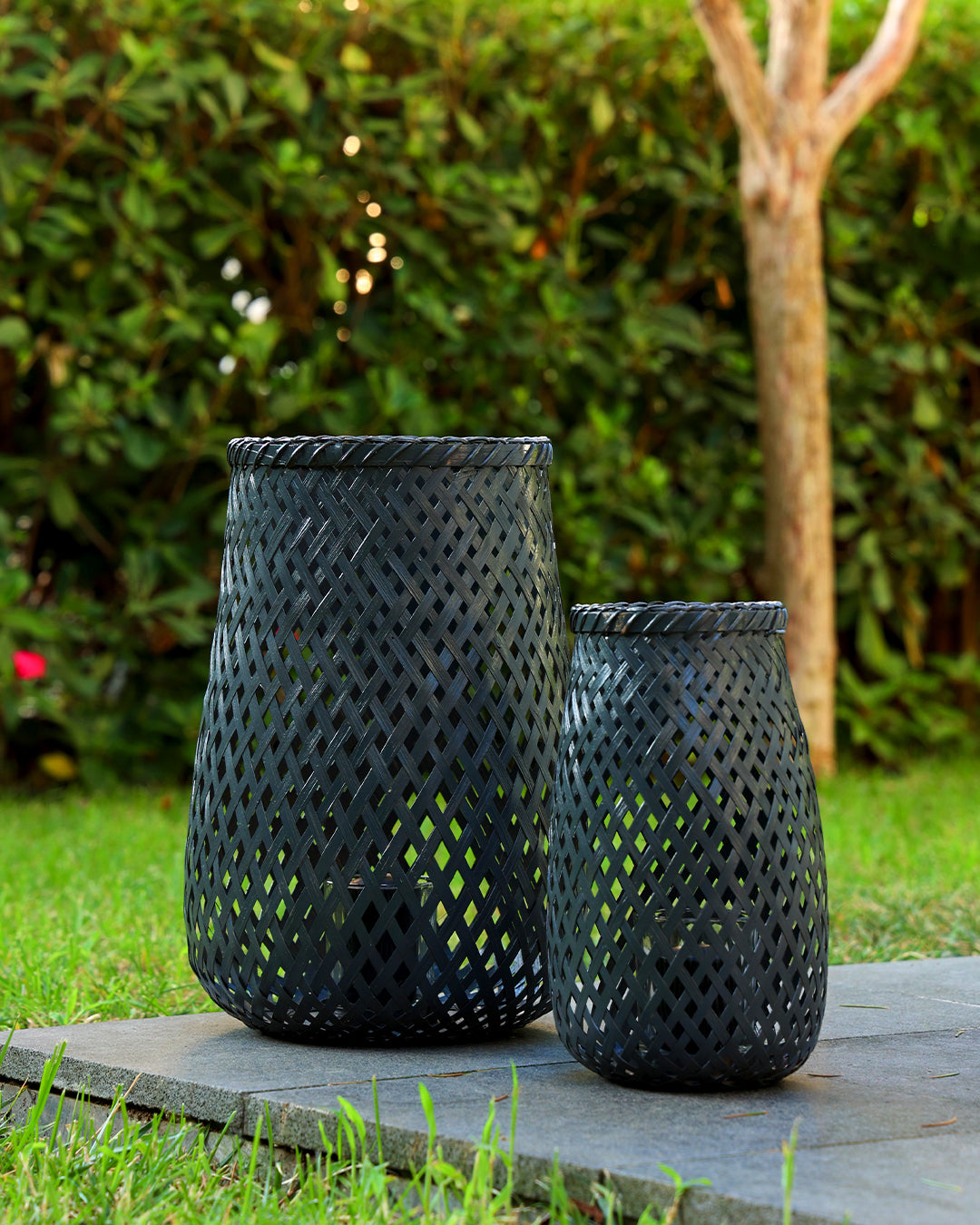 Ariel Bambu Mumluk Büyük Boy