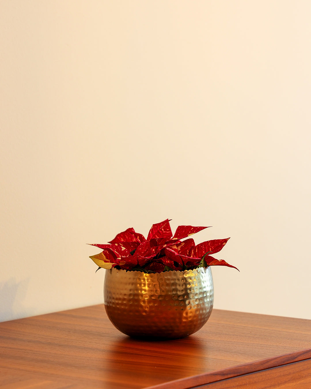 Aurea Metal Saksı Küçük Boy Sarı