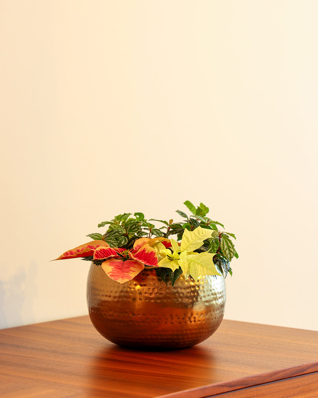 Aurea Metal Saksı Orta Boy Sarı