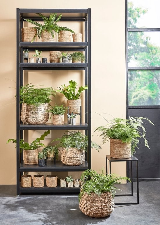 Avalon Orta Boy Hasır Saksı