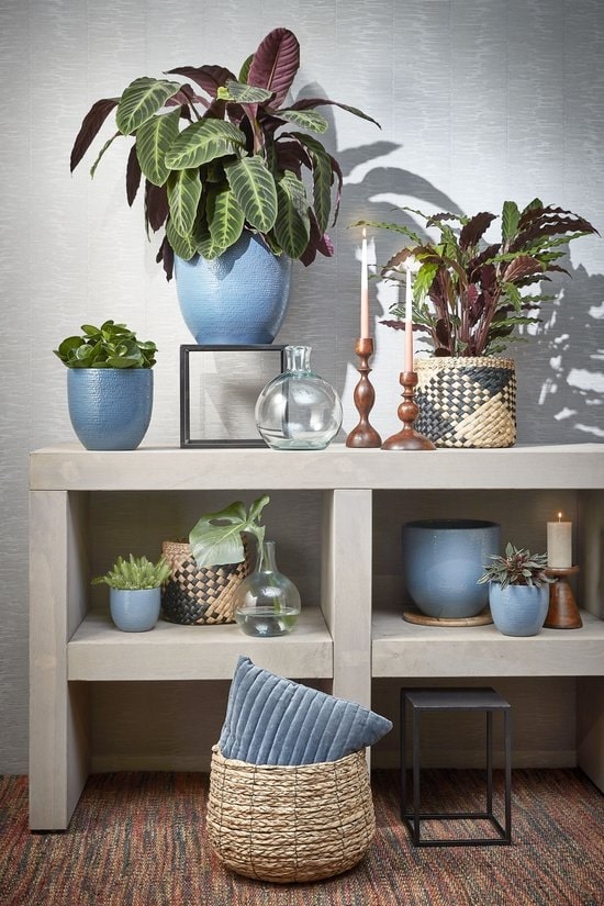 Avalon Orta Boy Hasır Saksı