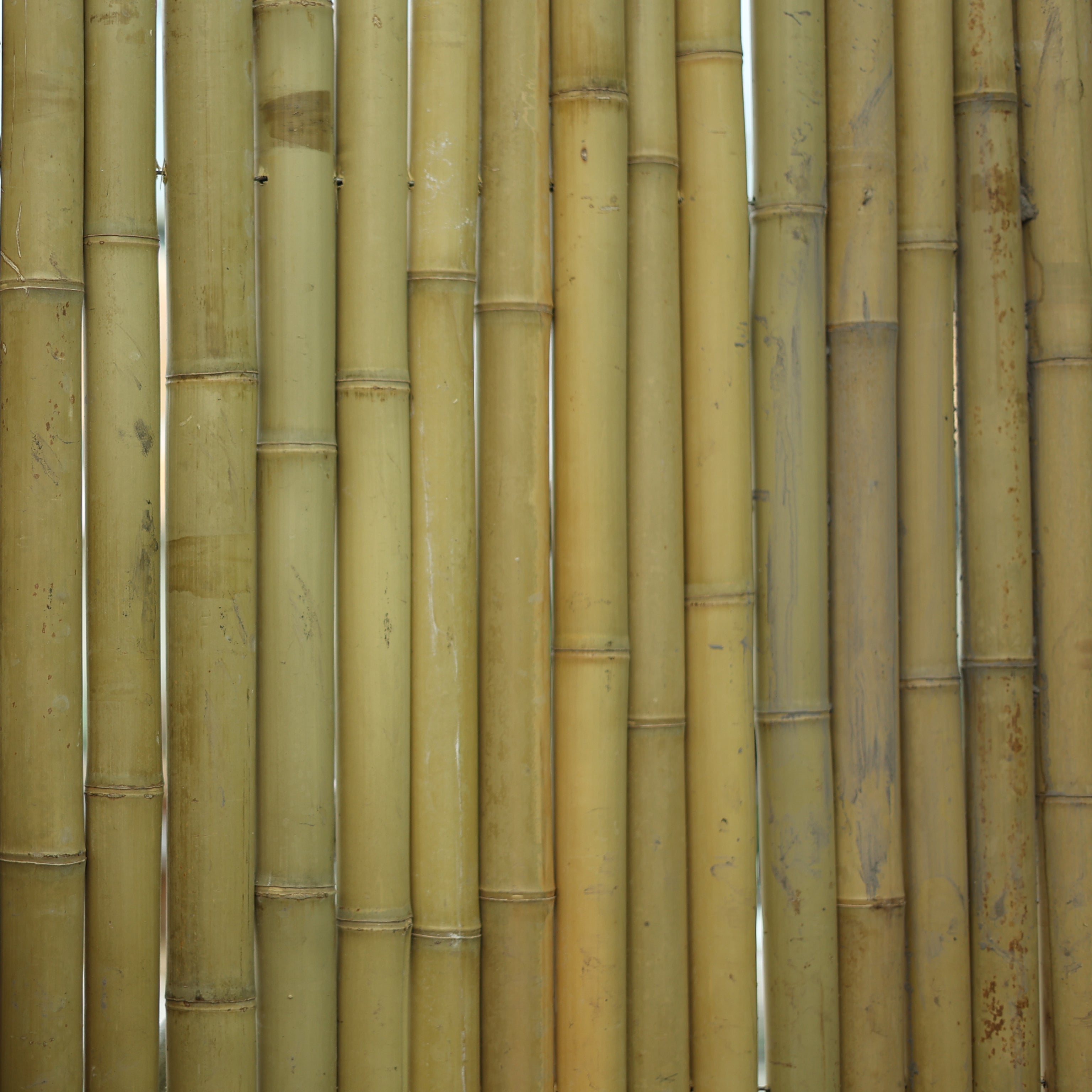 Bambu Mat Büyük Boy