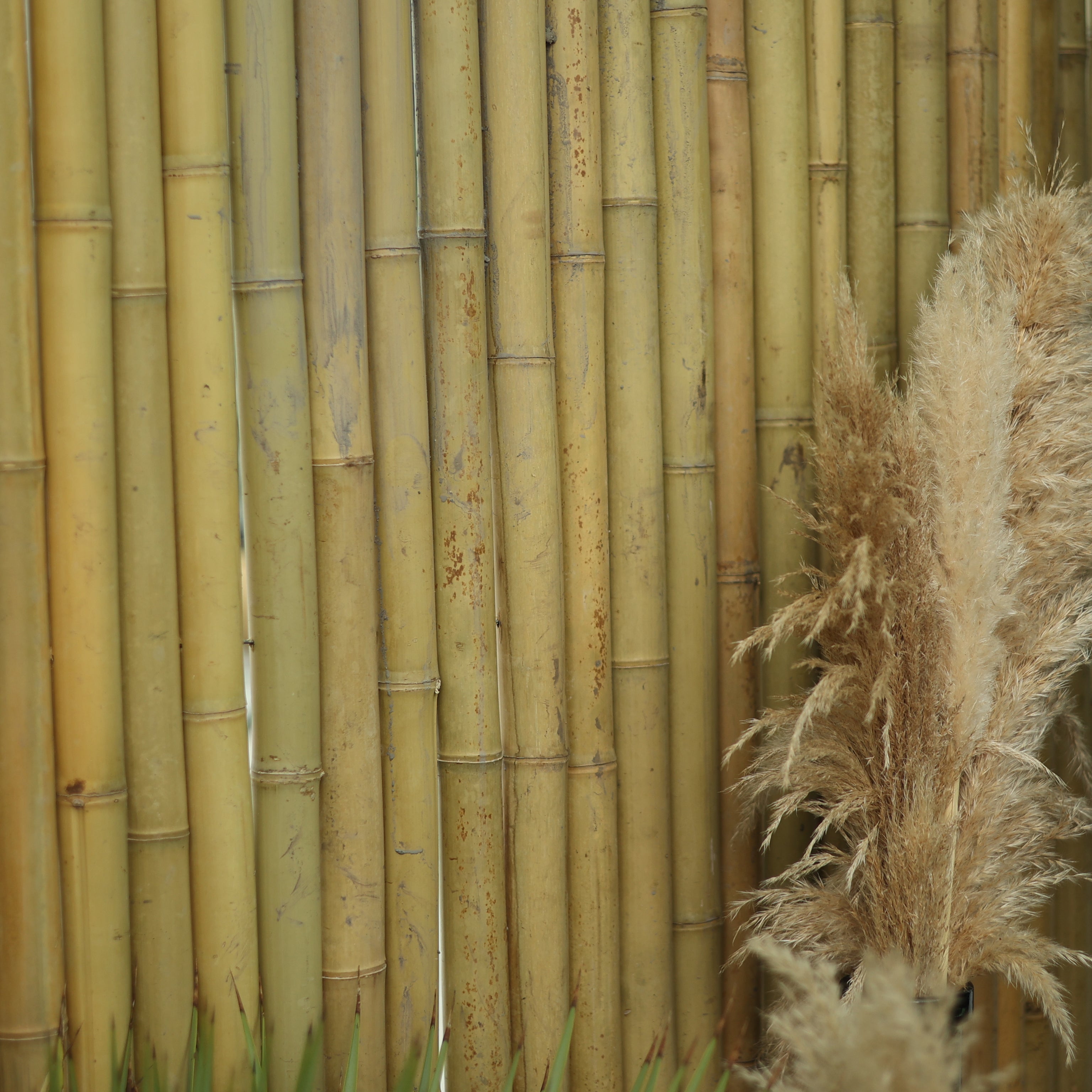 Bambu Mat Büyük Boy