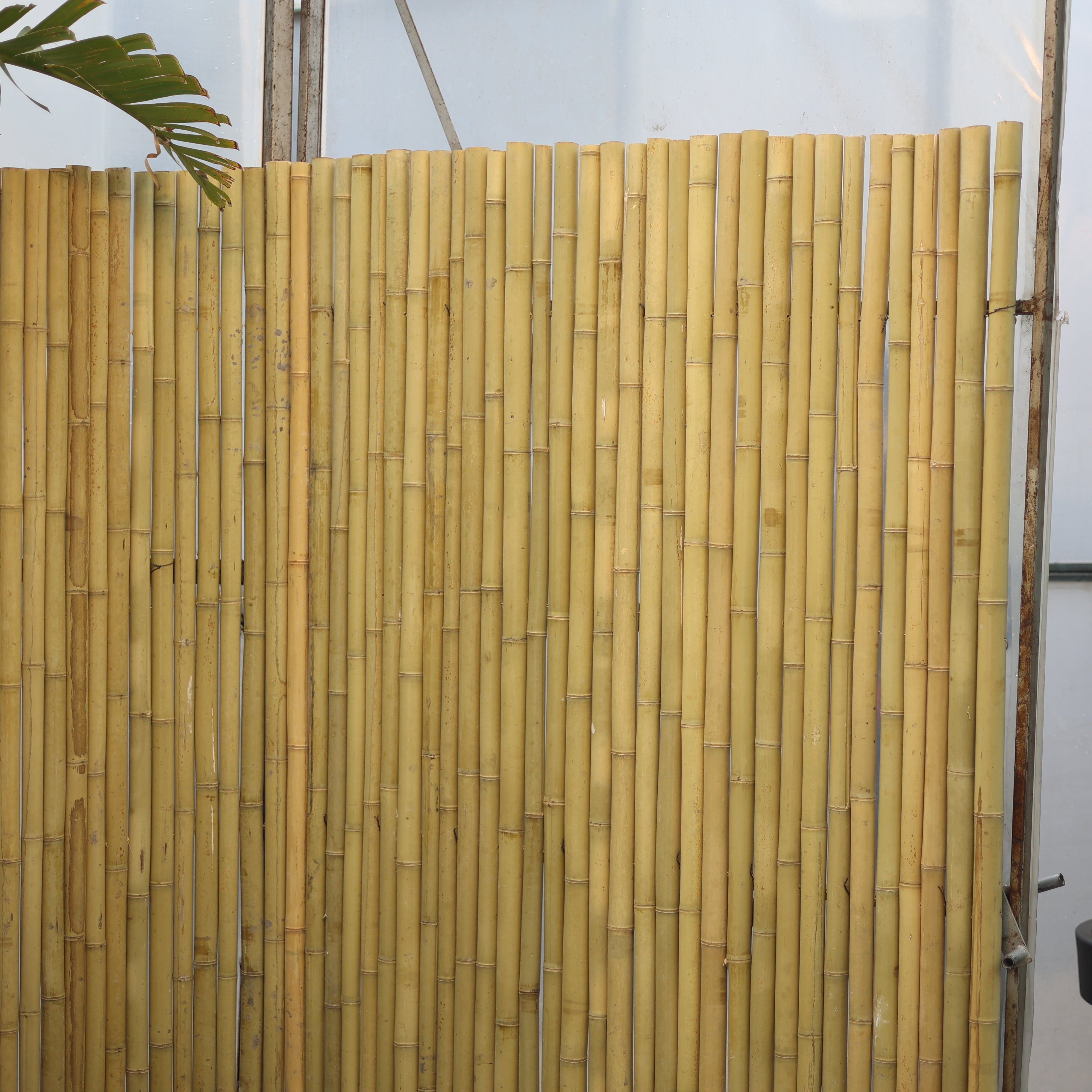 Bambu Mat Küçük Boy