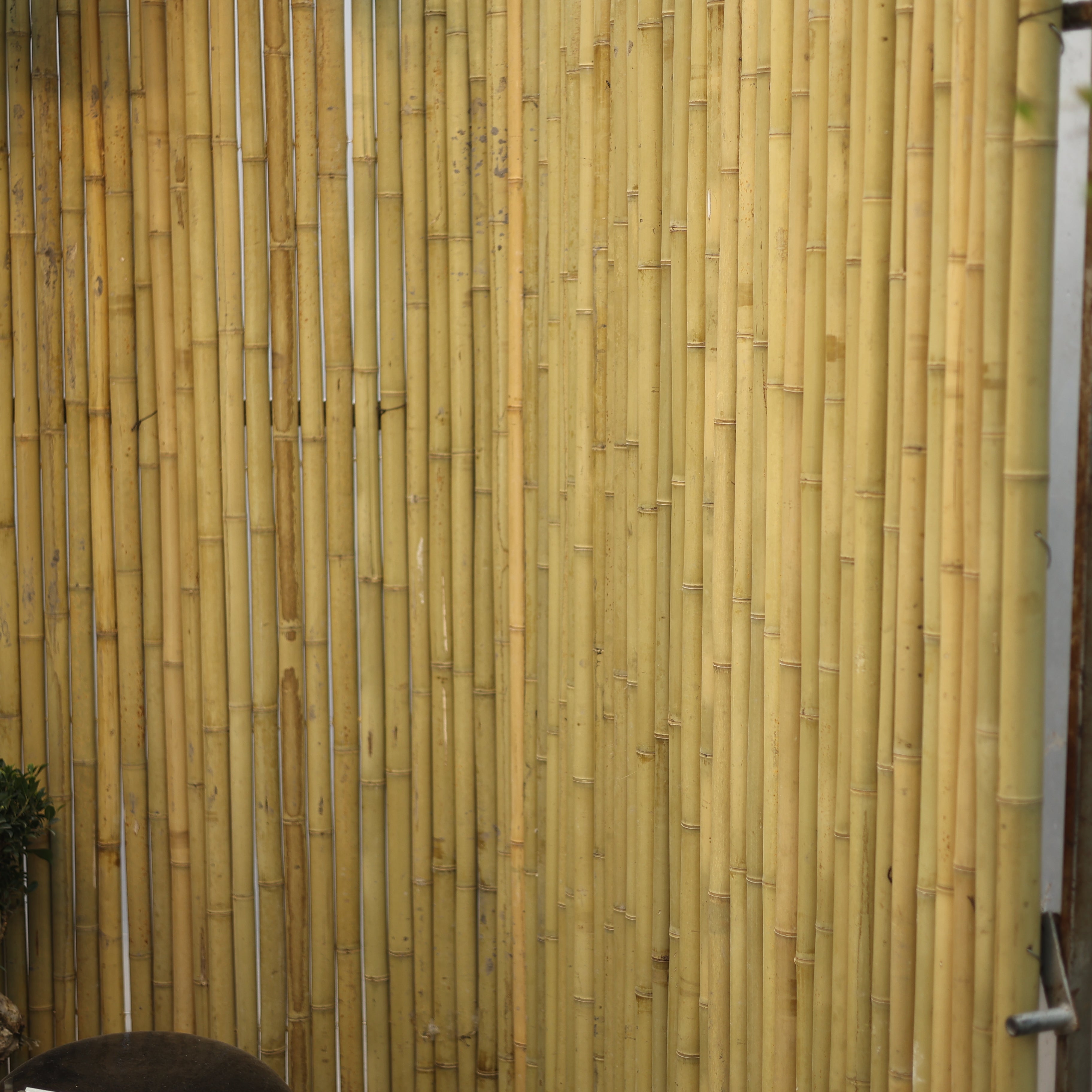 Bambu Mat Küçük Boy