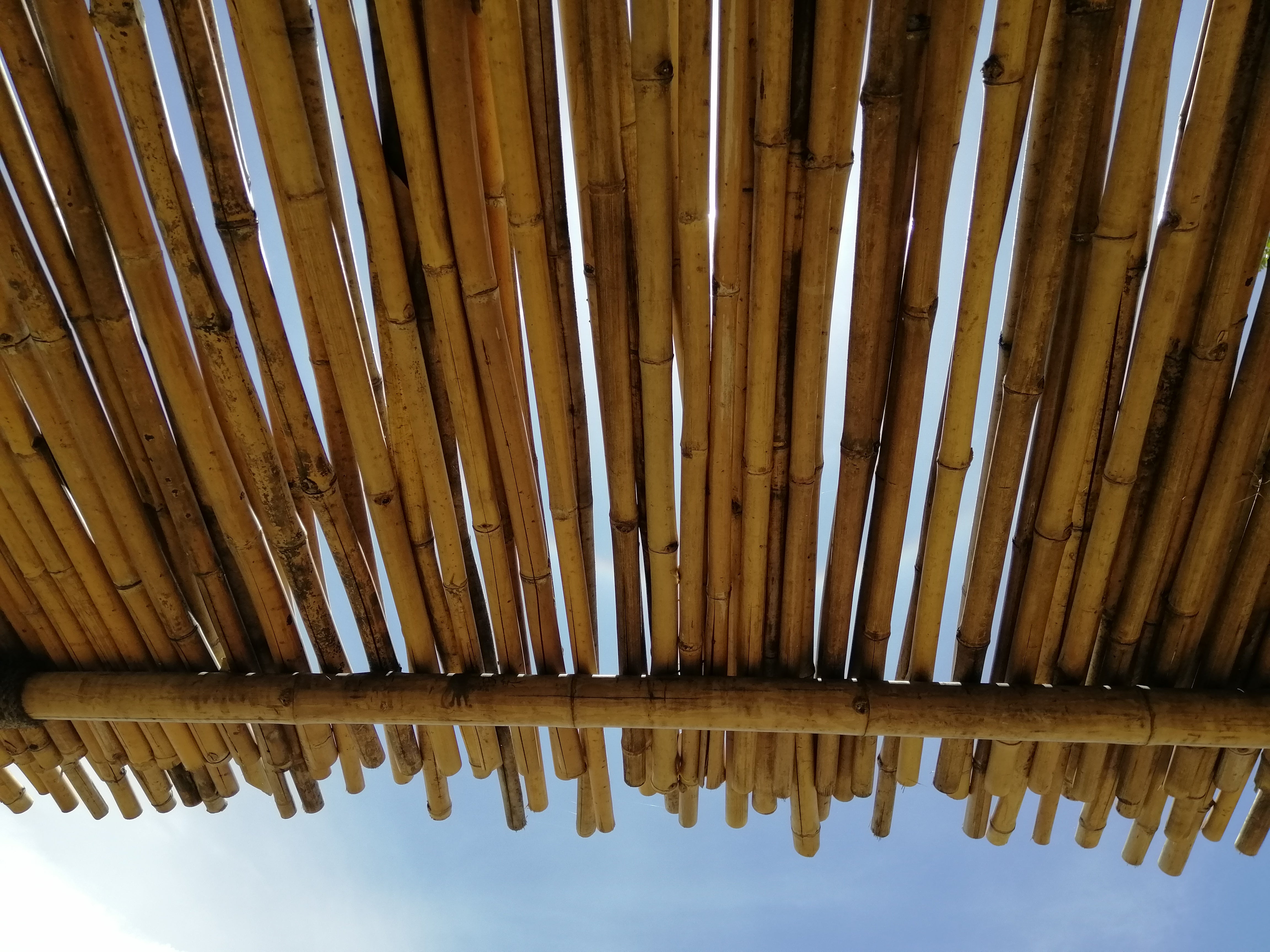 Bambu Mat Küçük Boy