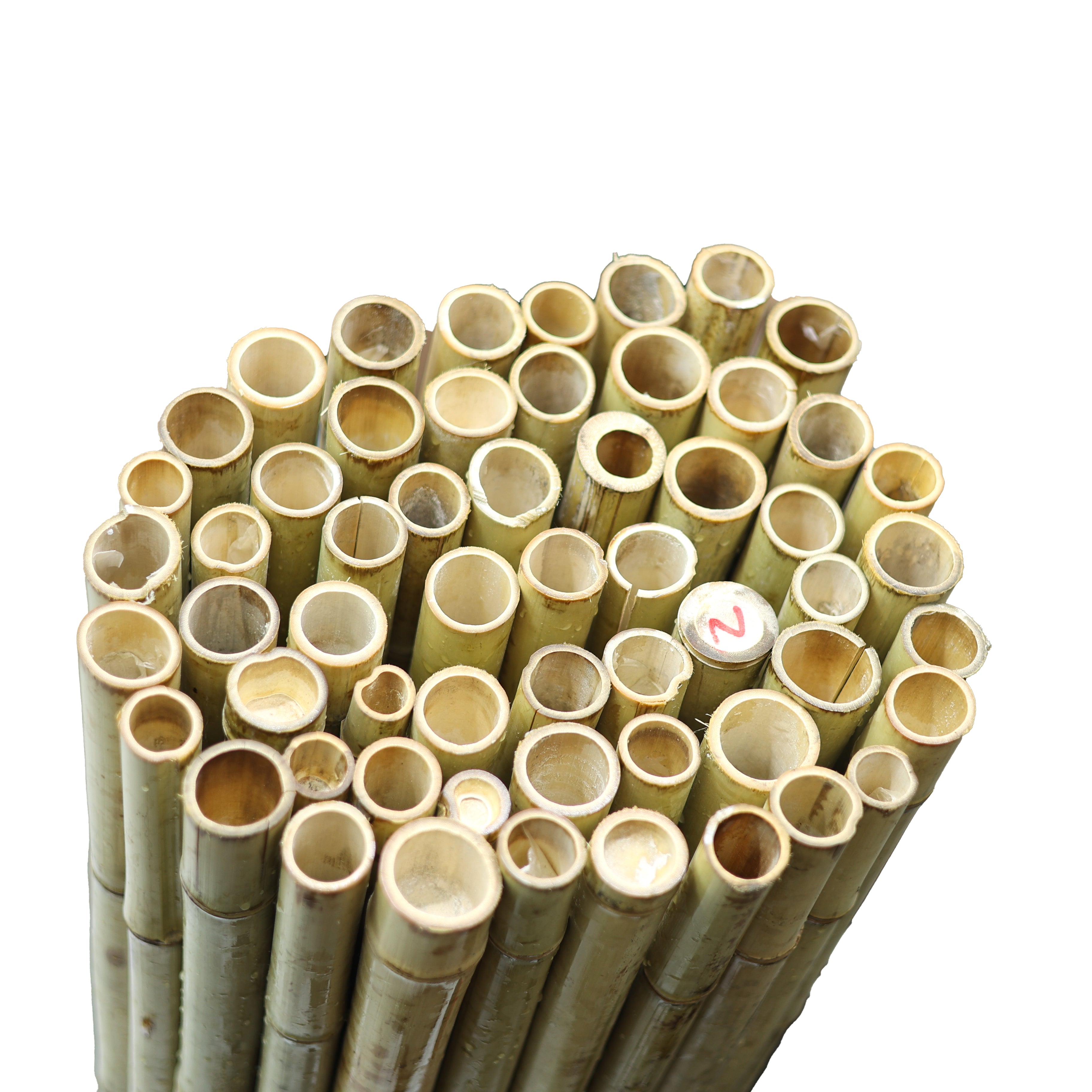 Bambu Mat Büyük Boy