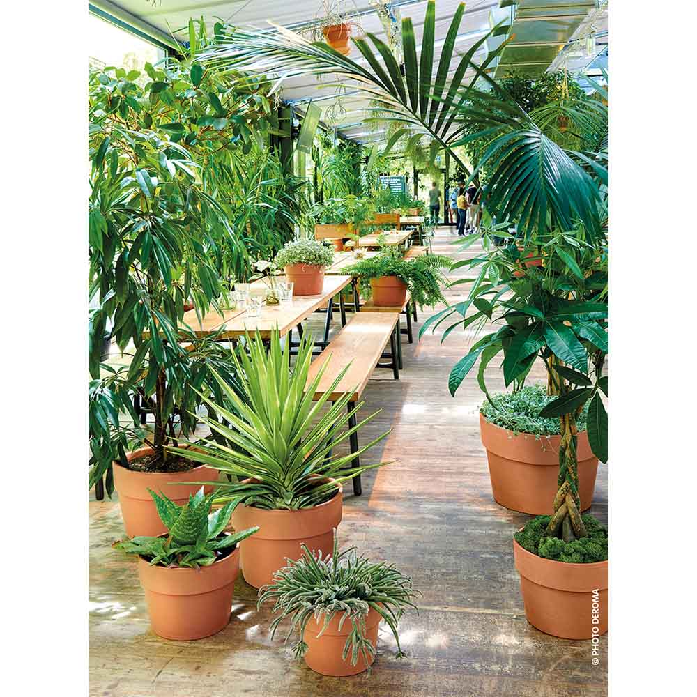 Cachepot Perfetto 15 cm Toprak Saksı Terracota