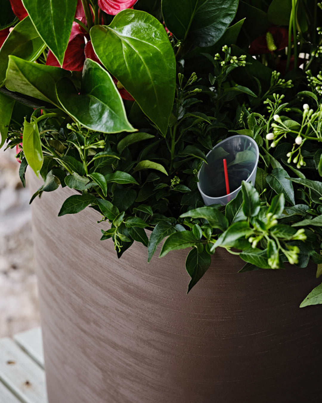 Capri 38 Bej Plastik Akıllı Saksı