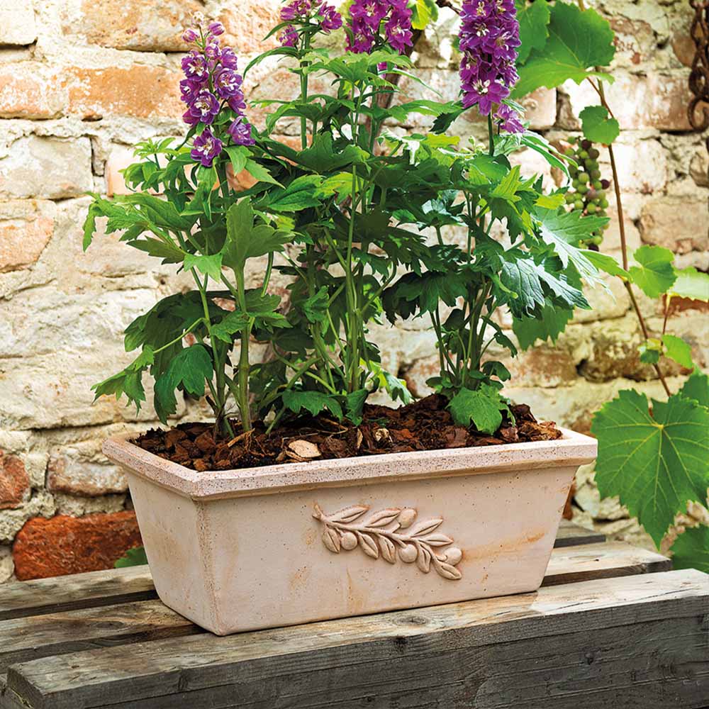 Cassetta Olive 40 cm Toprak Saksı Terracota