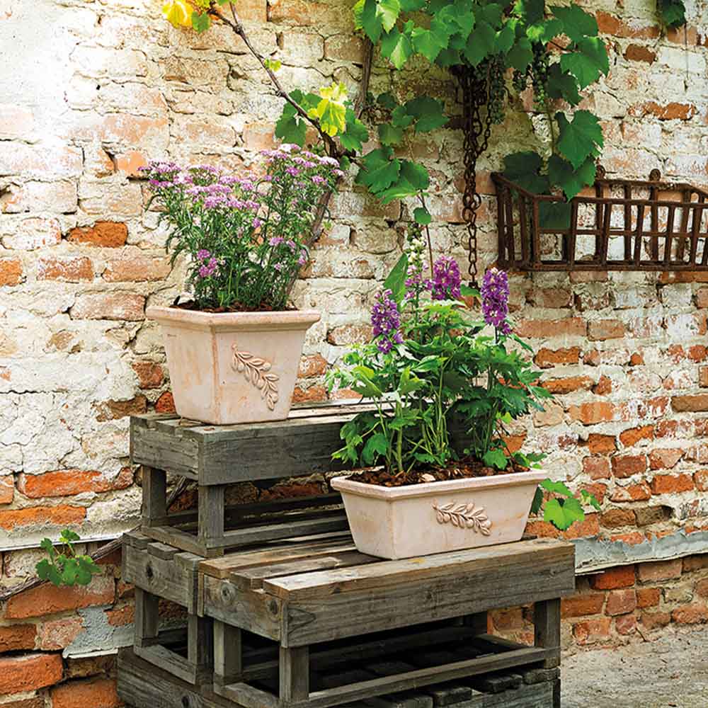 Cassetta Olive 40 cm Toprak Saksı Terracota