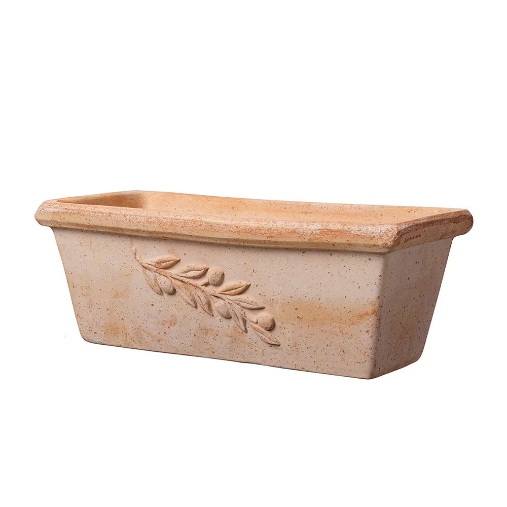 Cassetta Olive 50 cm Toprak Saksı Terracota