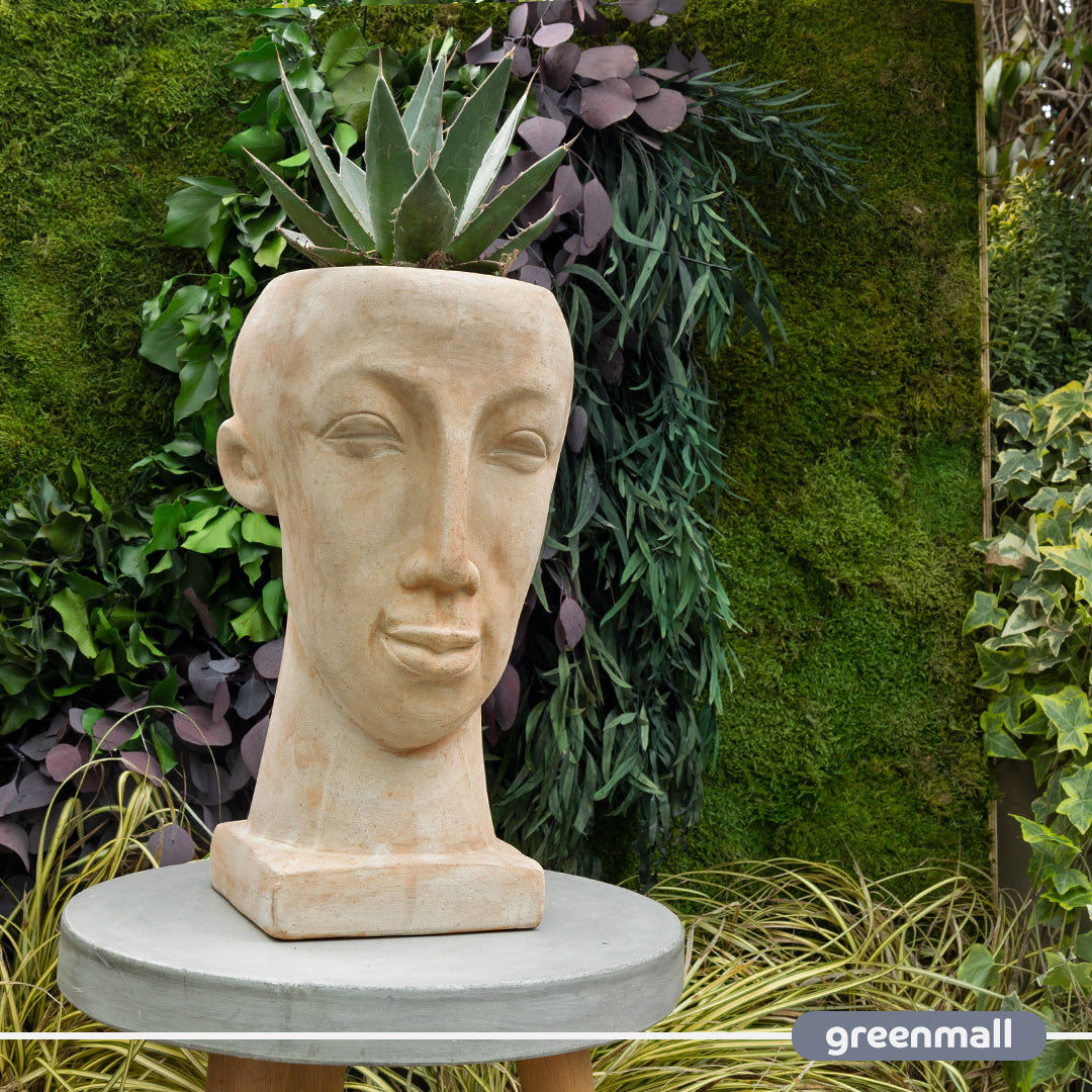 Chen Büst Saksı Kahverengi