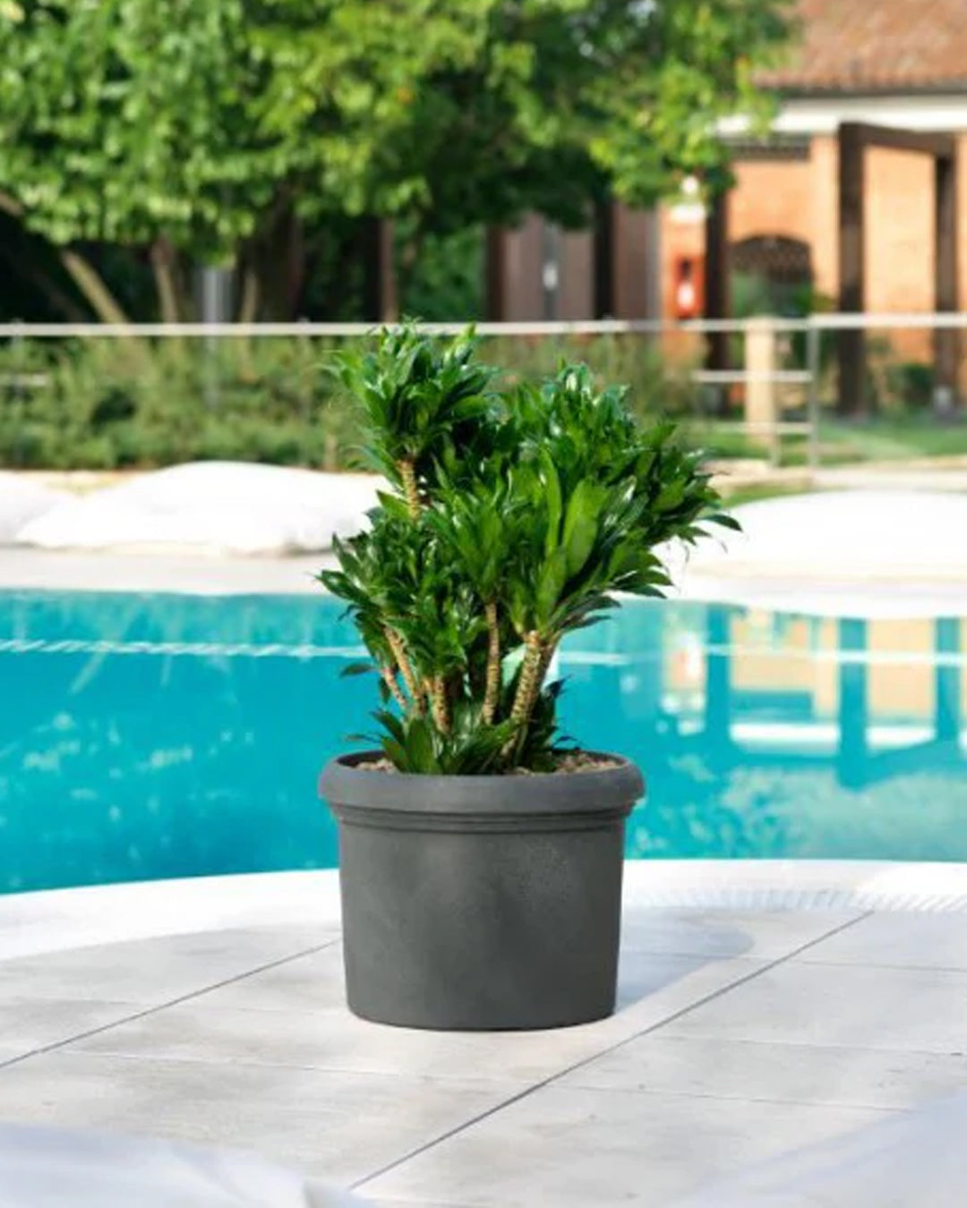 Cilindro Vicenza 45 Plastik Saksı Duman Grisi