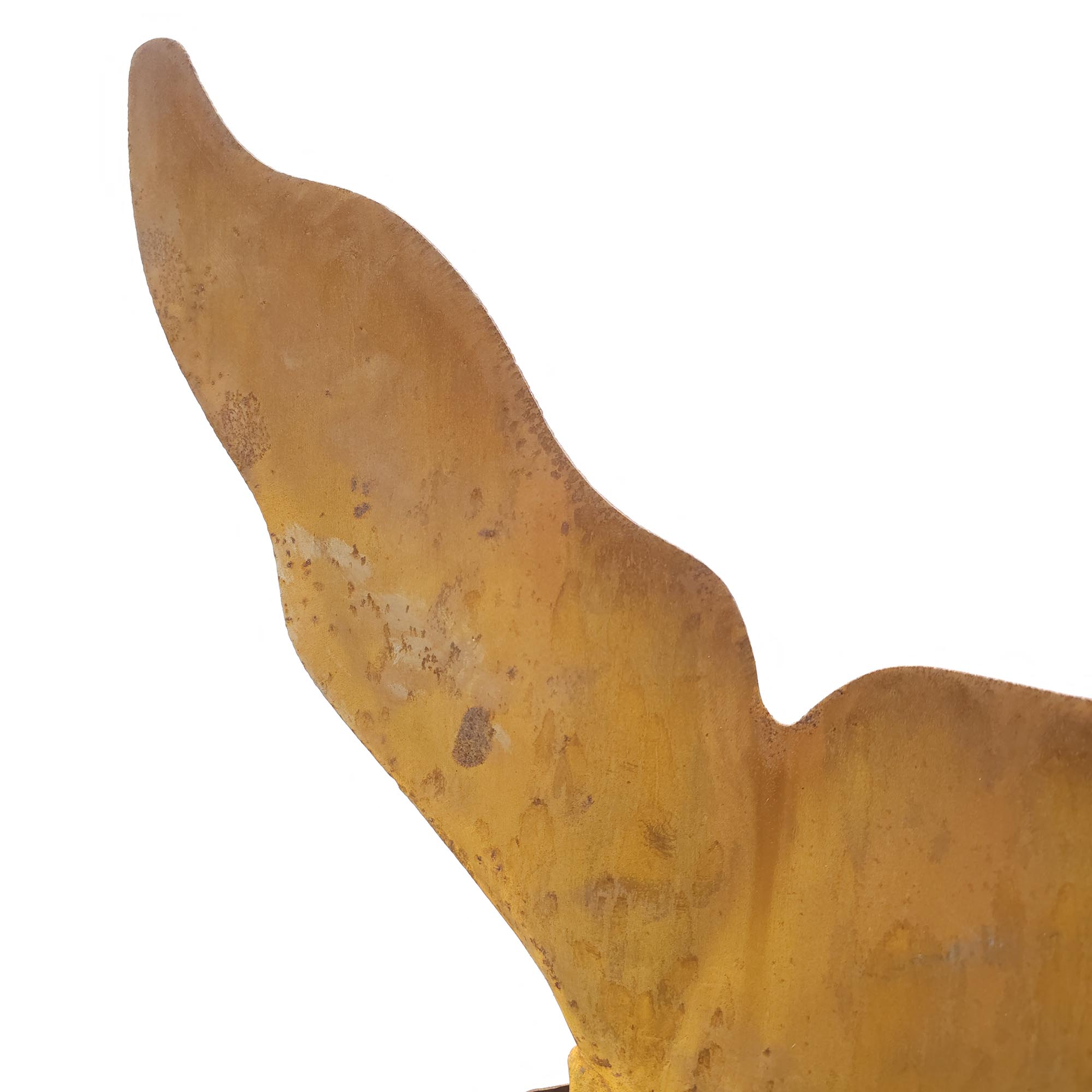 Corten Balık Heykel