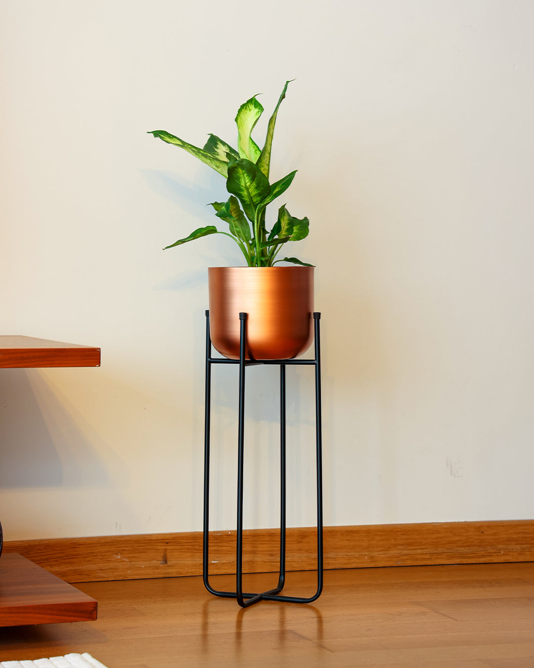 Cruz Metal Ayaklı Saksı Büyük Boy