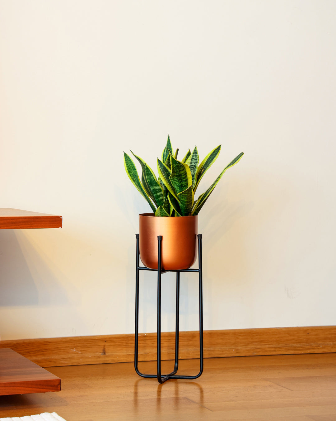 Cruz Metal Ayaklı Saksı Küçük Boy