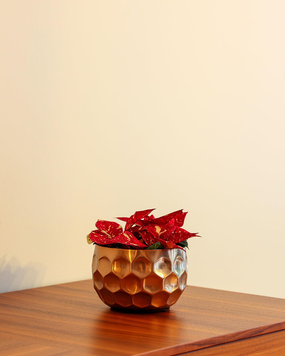 Cuivre Metal Saksı Küçük Boy Bronz