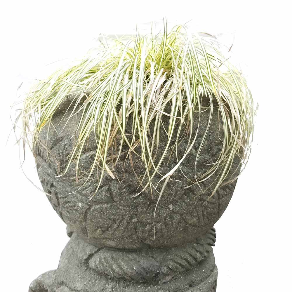 Dewi Oyma Taş Saksı Gri