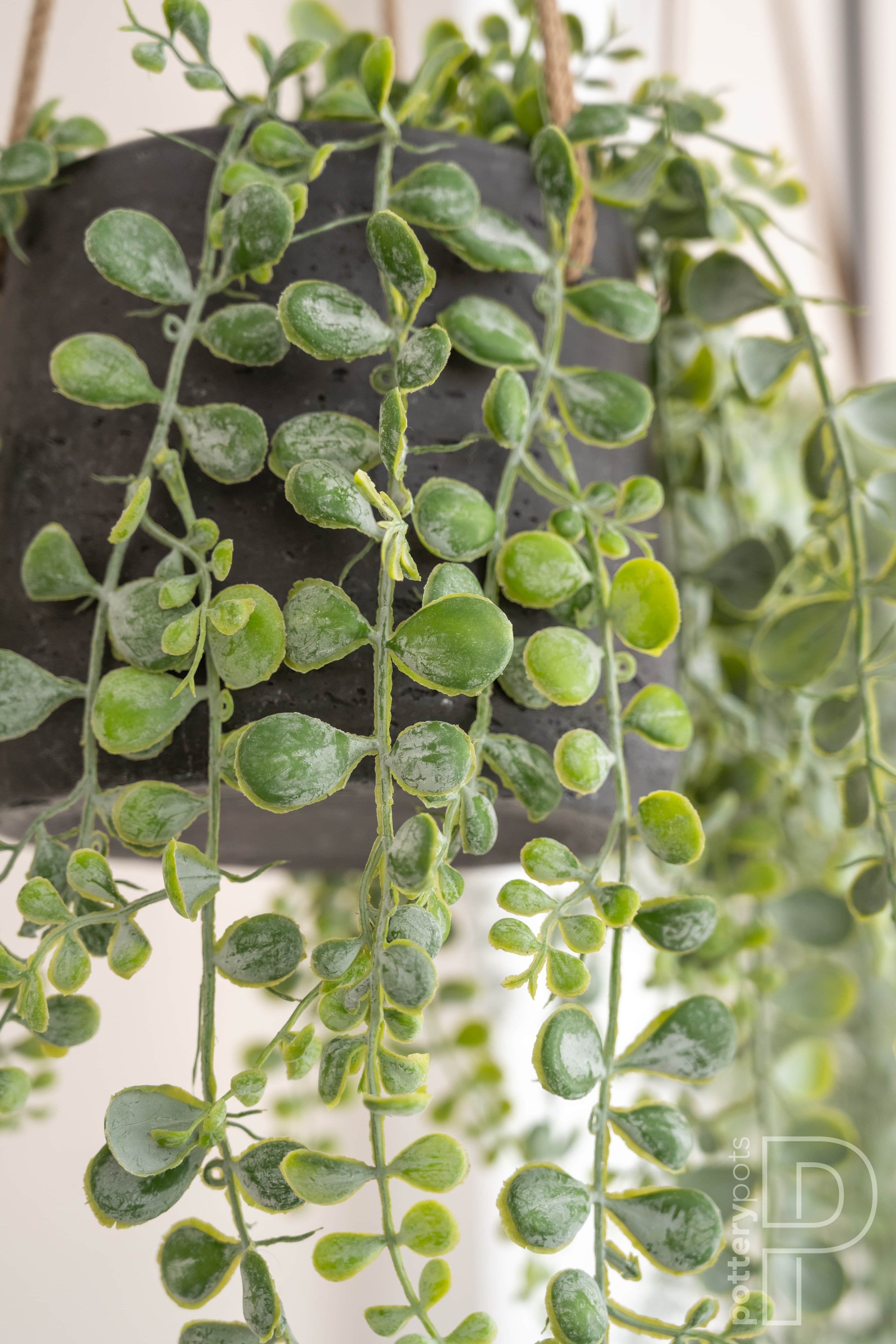 Eileen S Askılı Fiberstone Saksı Antrasit